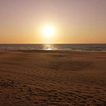 Apartment La Perle D'ostende *