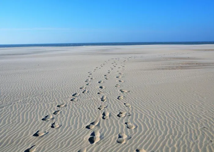 La Perle D'ostende Apartamento *